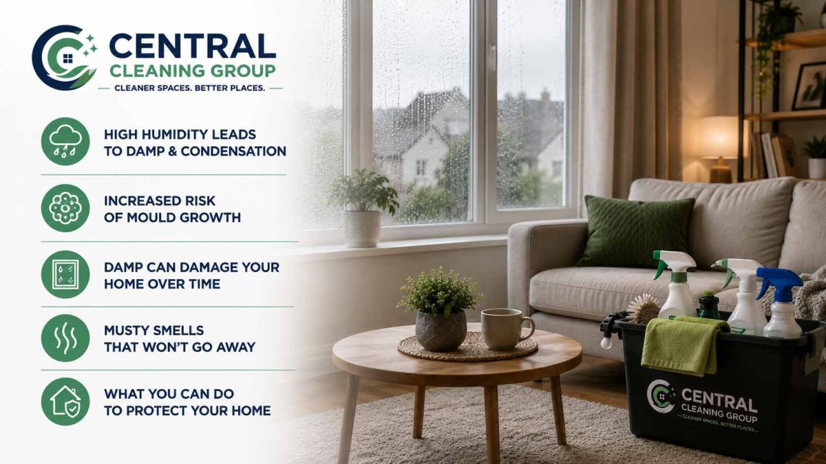 How Ireland's Damp Climate Affects Your Home (And What You Can Do About It)